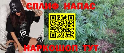 амф Дубна