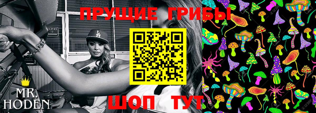 Галлюциногенные грибы MAGIC MUSHROOMS  Вход с VPN  Люберцы 